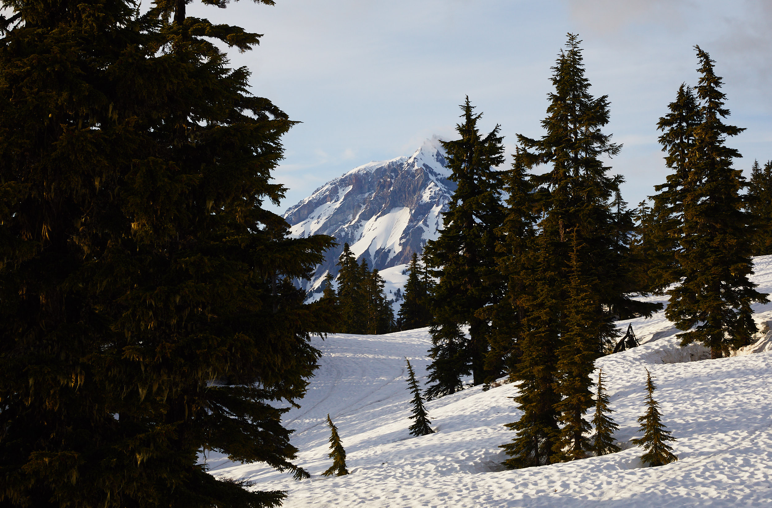 Elfin Lakes 10.jpg