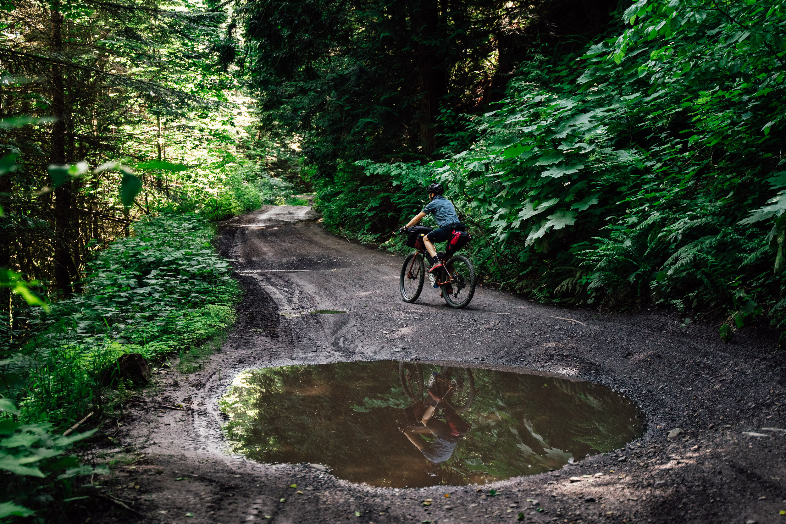  The first section of the trail was a fairly easy logging road with some lingering wet sections. A stark contrast to the extreme heat and dry conditions we would experience just a few days later. 