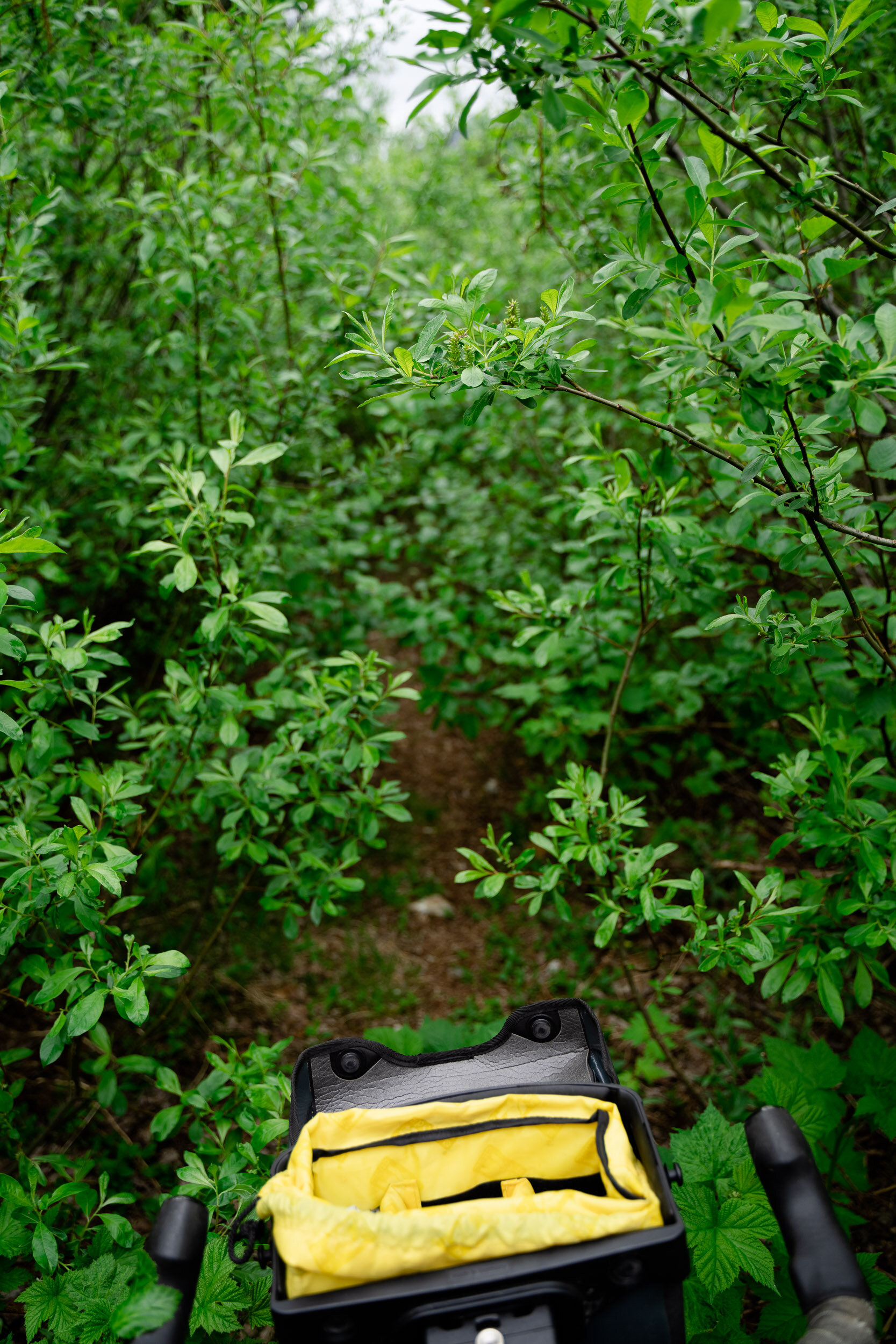  The further we went, the denser the brush became. It was interesting seeing what would be 30 days of plant growth happen in real-time as we descended to lower elevations and warmer temperatures. 