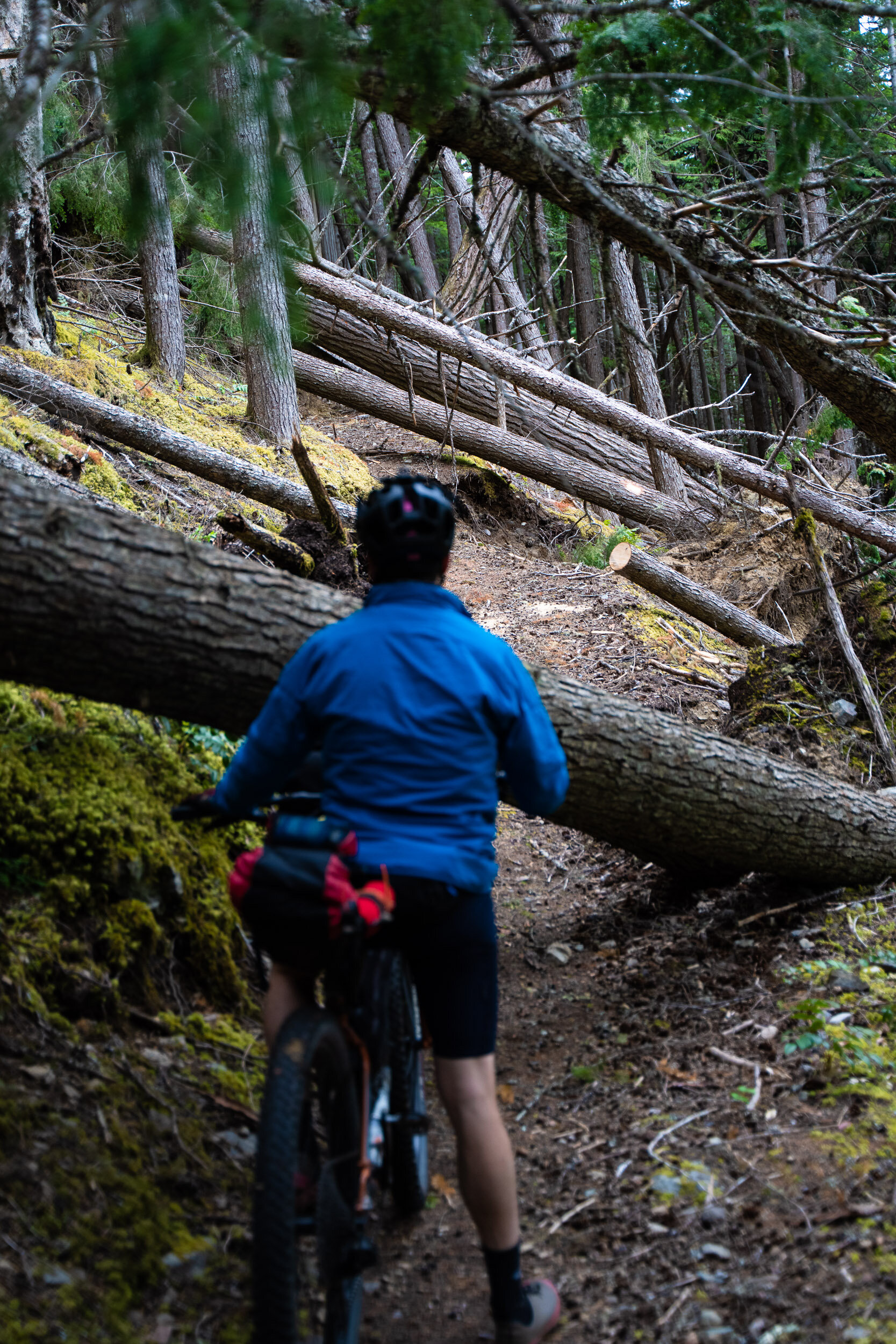  The obstacles were relentless!. We only managed 70km with a full day of riding. 