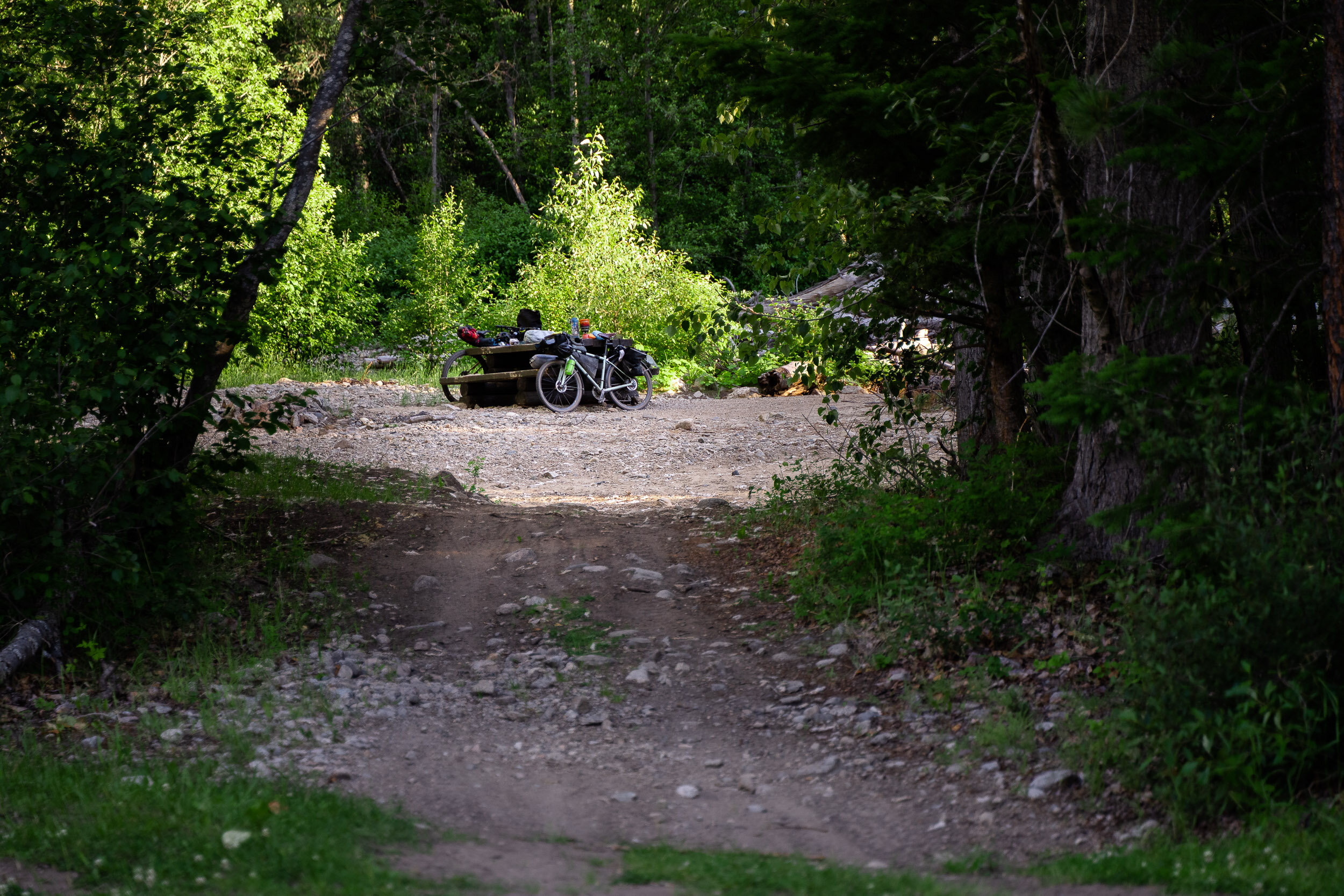  That evening we found a nice wild campsite by the river. It even had a picnic table. 