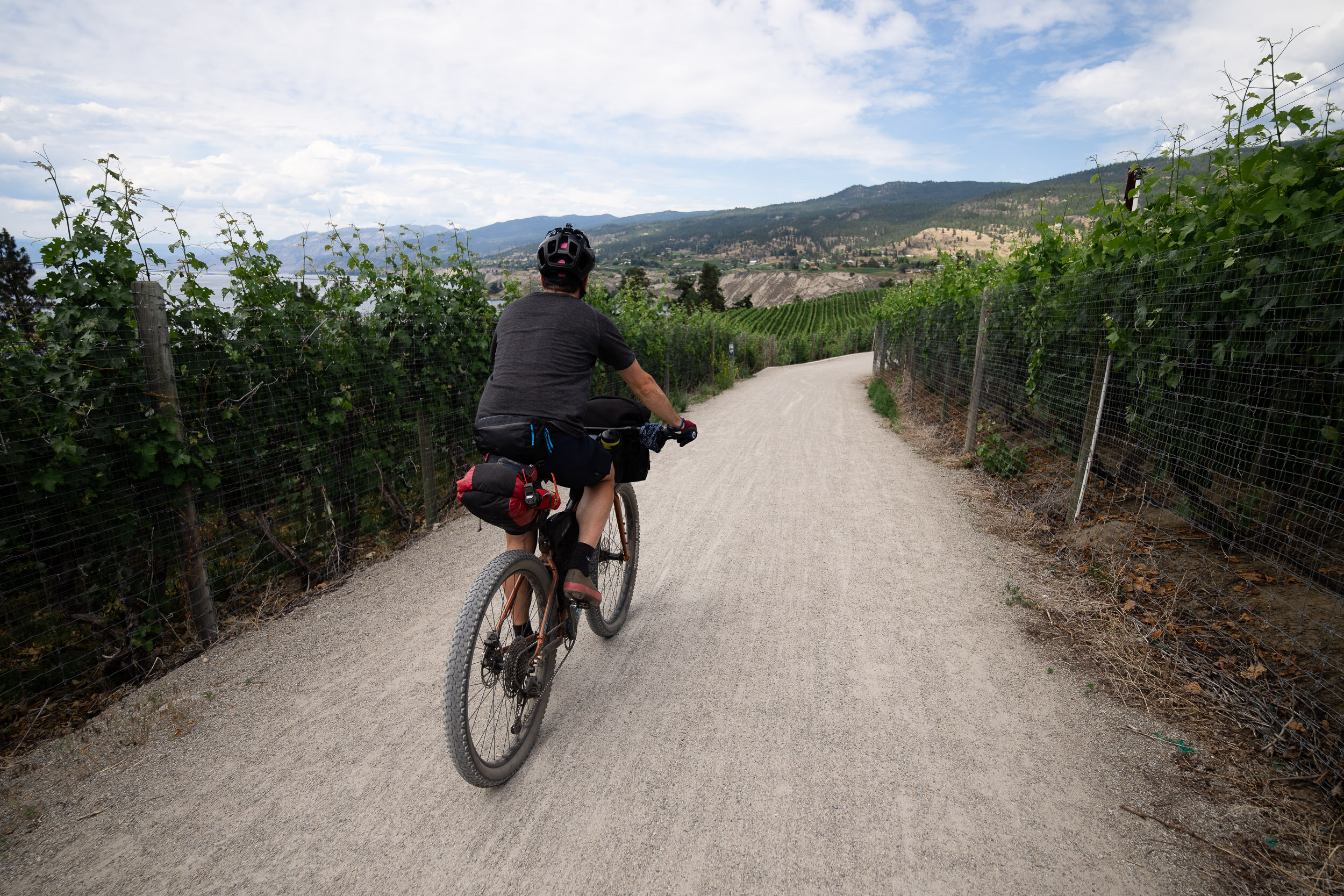  After a quick lunch in town, we headed up through the vineyards to Chute Lake. 