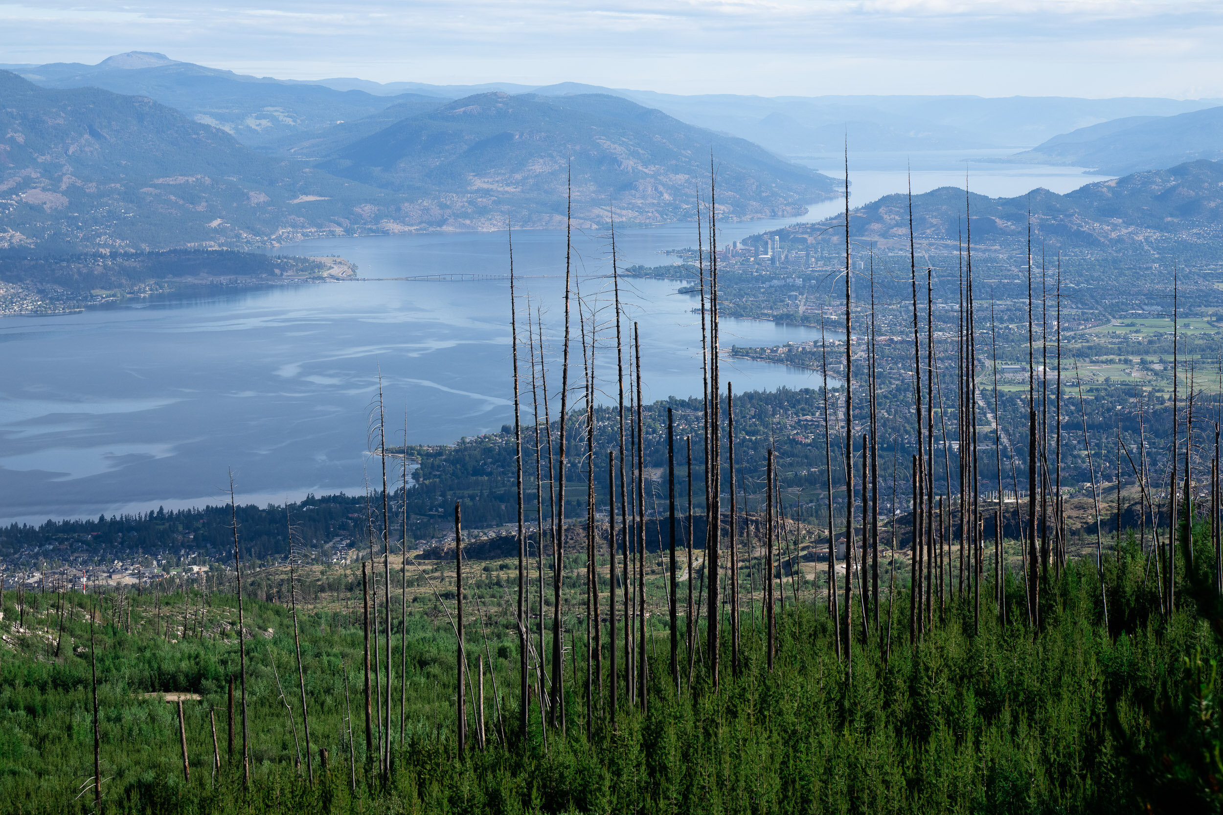  As we came to the top of the pass, we had an amazing view of Kelowna with the 2003 Okanagan Mountain Park Wildfire remains in the foreground. As of 2017, it was the single most damaging and significant wildfire in B.C.'s history, causing $200 millio