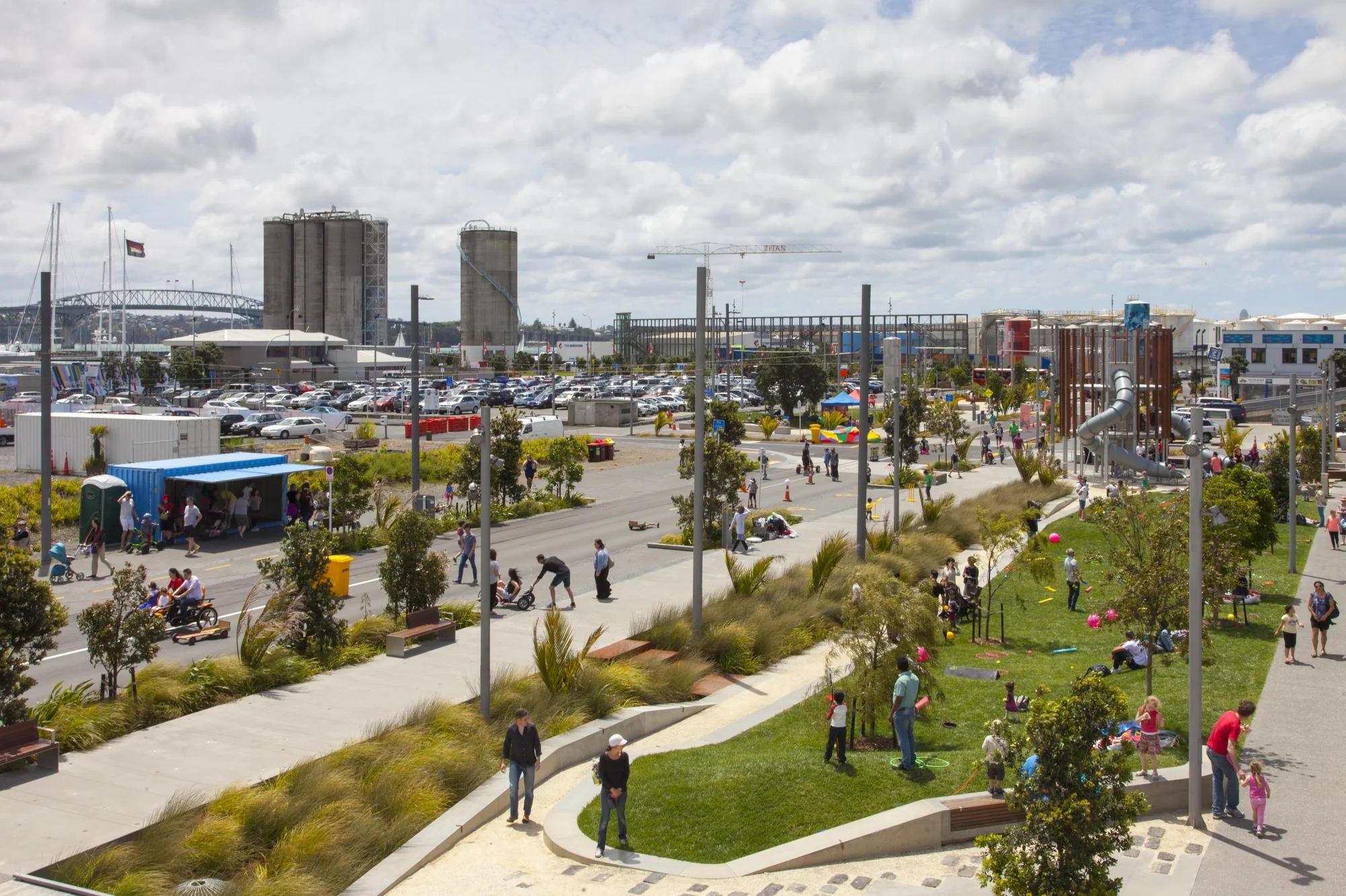 Daldy Street raingardens collect and filter rain water.