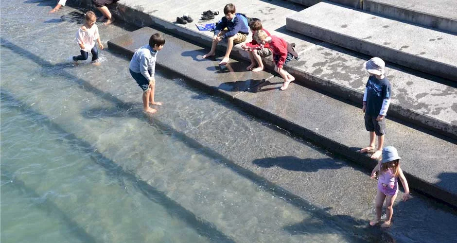 The Tidal Steps in Wynyard Quarter.