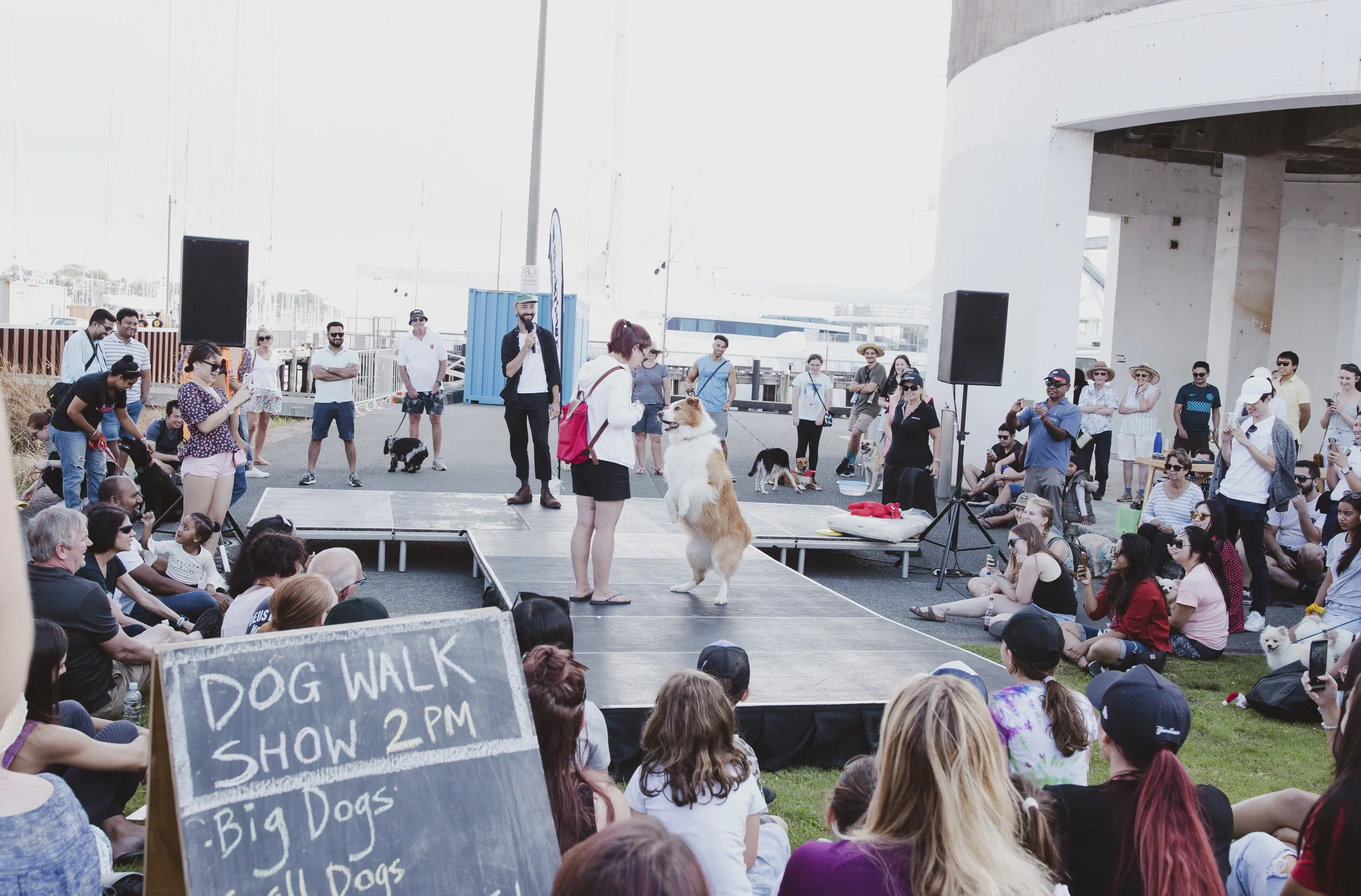 DogDay1 By EstefaniaLopez_132.jpg