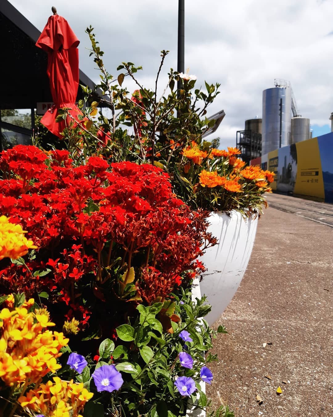 S(il)O much colour ❤️🧡💛 our Silo Park Extention project is nearing completion! The team at Wynyard Edge Alliance have been doing an amazing job - we can't wait until it's open for public to enjoy!