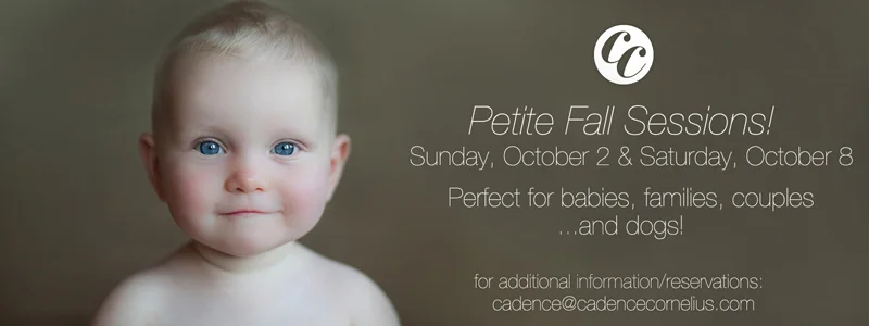 Just in time for the Holidays...