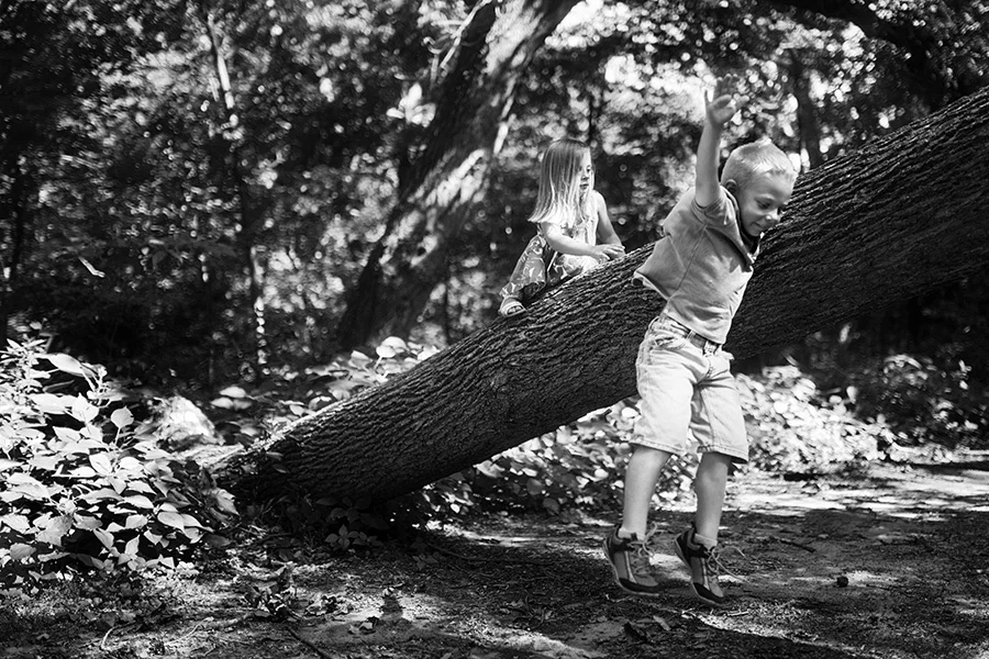 Sneak Peek: Ericsson Family