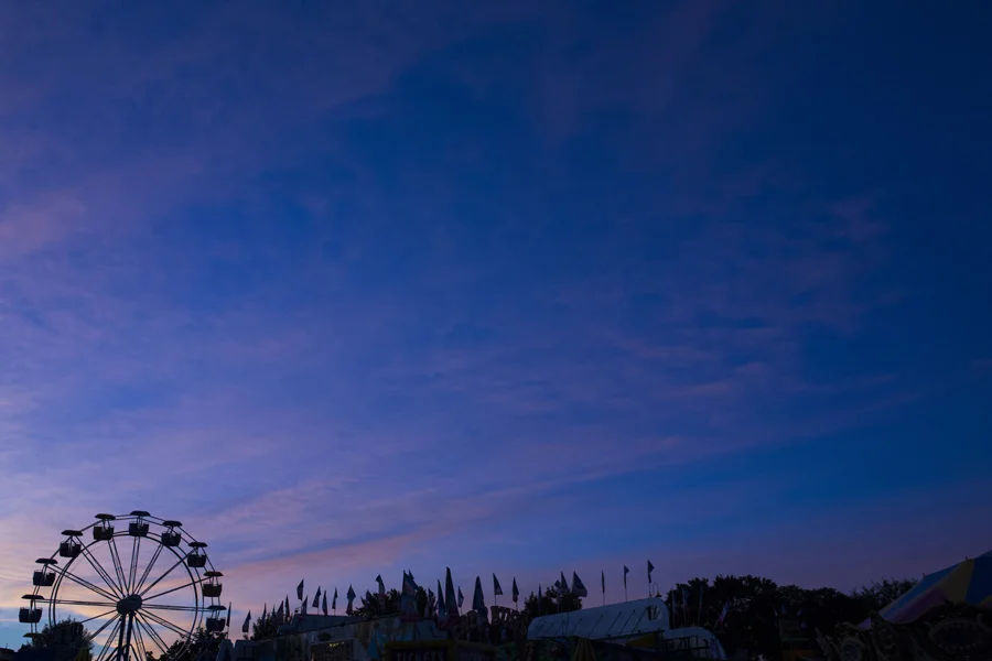 Engaged: Stephanie & Shane's Minnesota State Fair Engagement Session