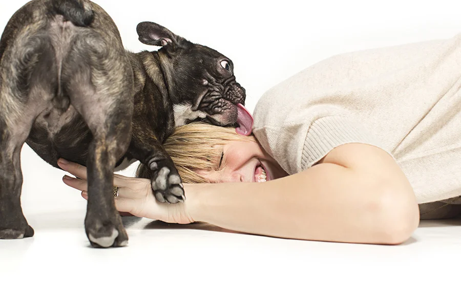 09-Frenchie-Kisses.jpg