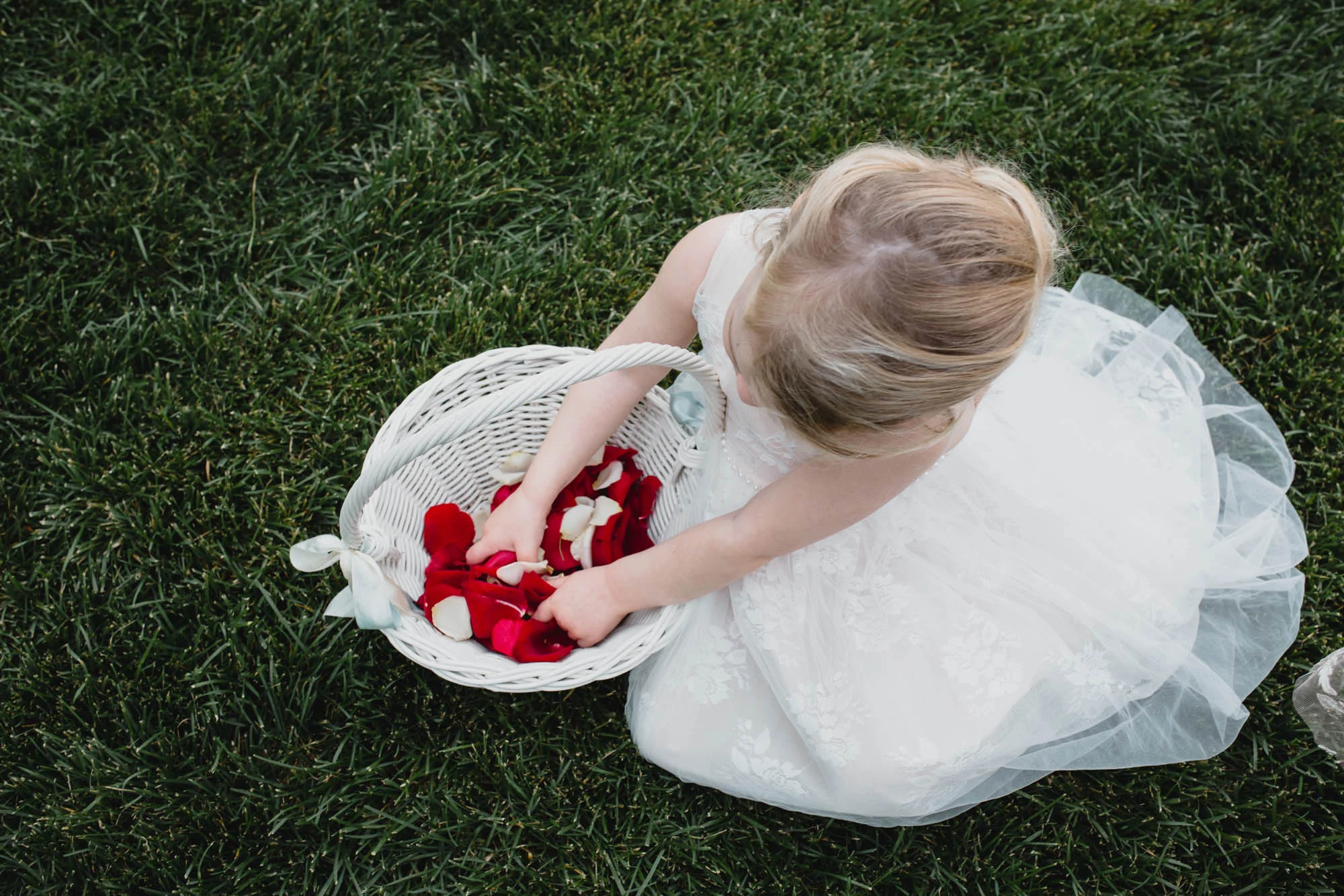 075_Minnesota_backyard_wedding.jpg