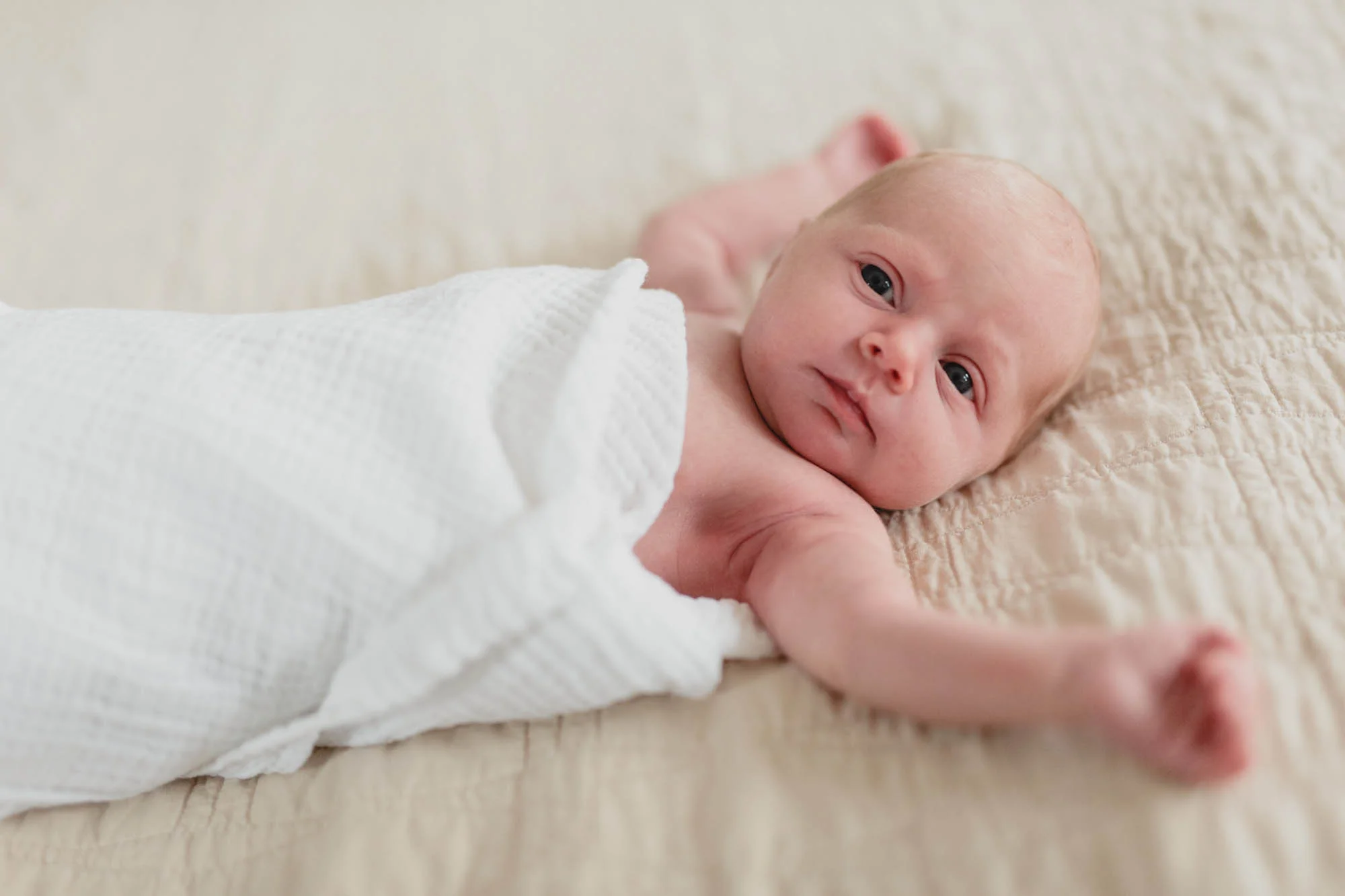 26_Minneapolis_family_photography.jpg