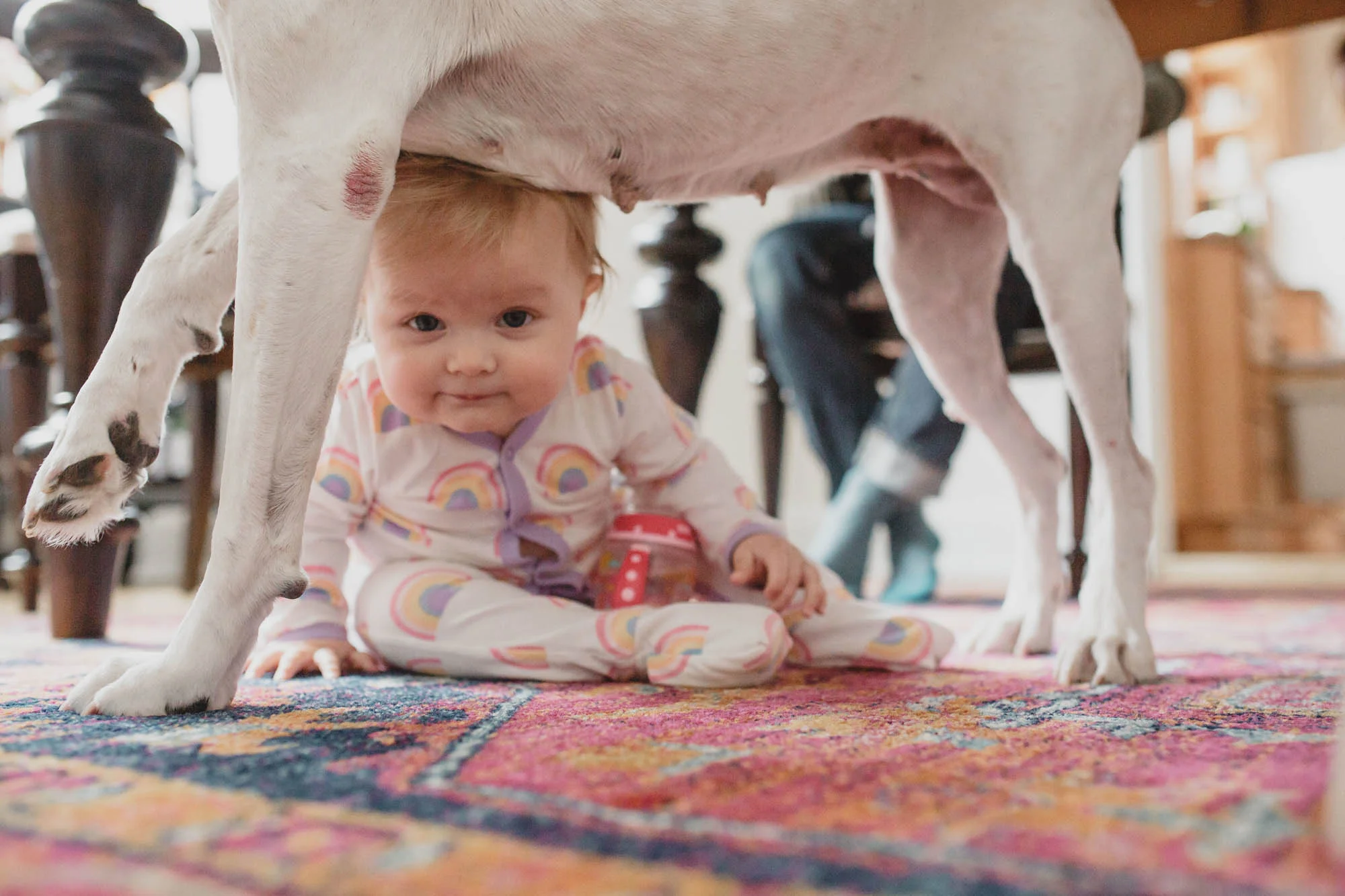 10_Minneapolis_family_photography.jpg