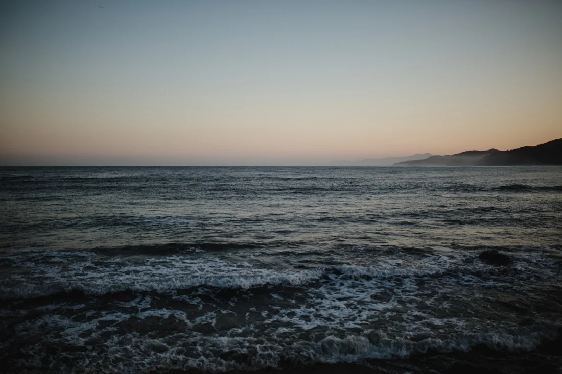 60_ocen_sayulita_minneapolis-1100x733.jpg