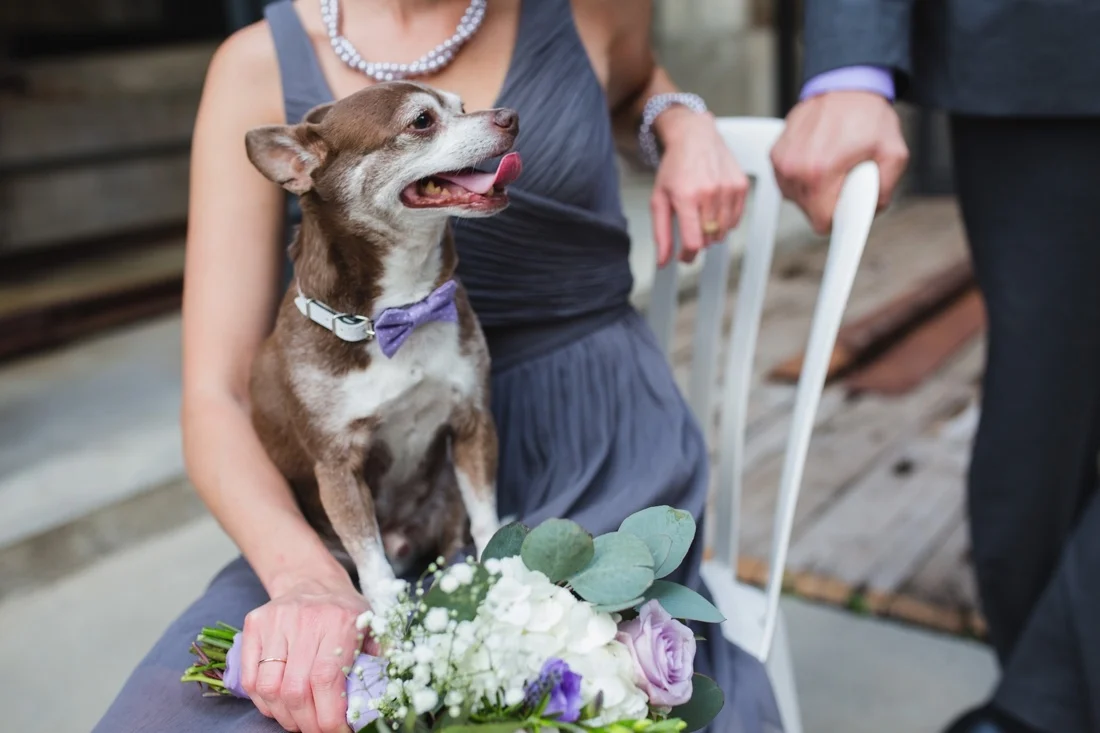 07_Mill_city_Wedding_photographer-1100x733.jpg