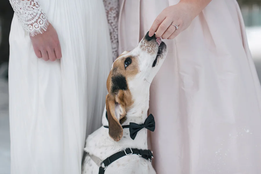 12_minnestoa_wedding_pictures_newyearseve.jpg