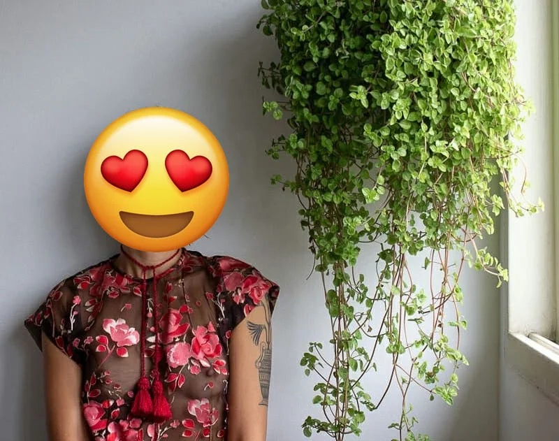 guess who tattooed MY hand?!!