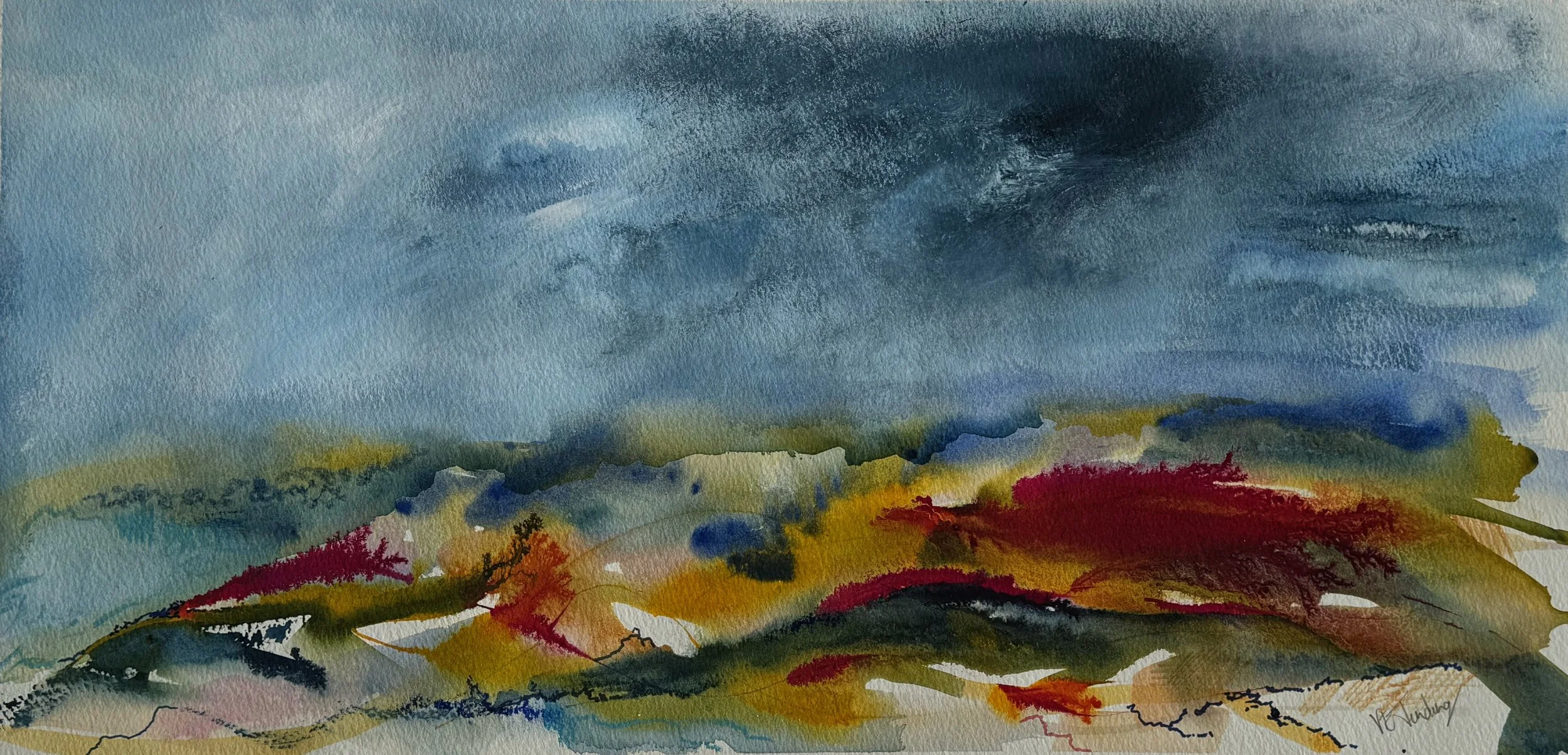 Veiled in Sea Fog