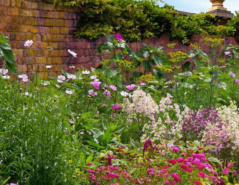 Ten Years of East Branch Organics