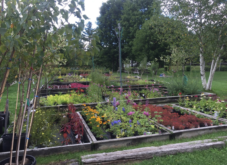 Ten Years of East Branch Organics