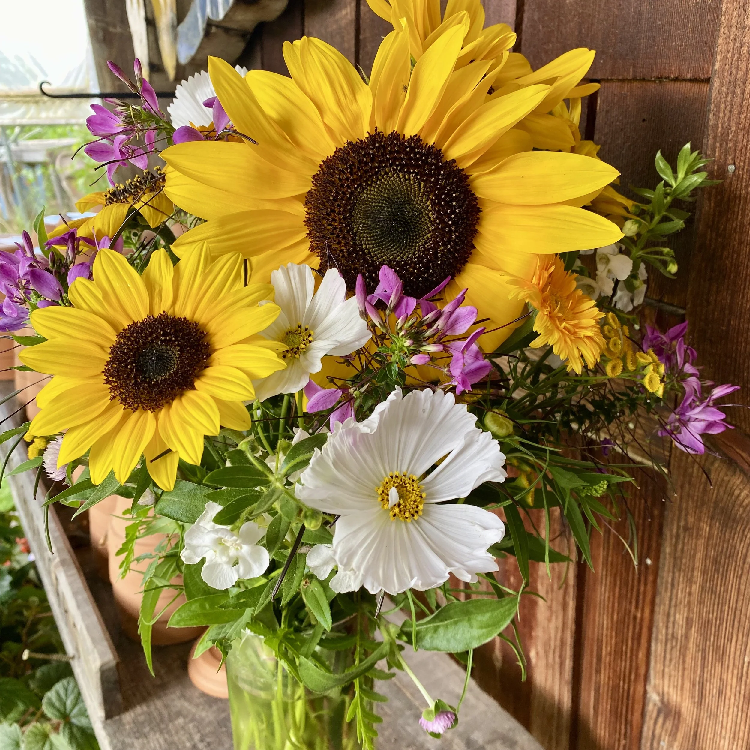 sun flower arrangement.jpeg