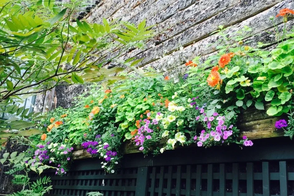 landscaping+banner window box.webp