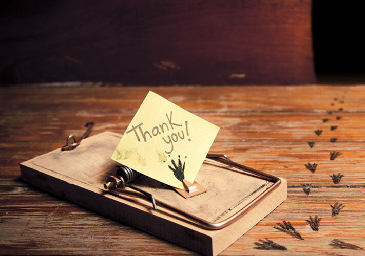 How Professional Traders Use The 2nd Mouse Gets The Cheese Trap