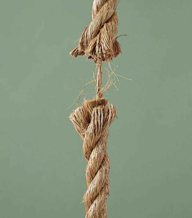 How pro traders tear apart emotion-based actions of the crowd 