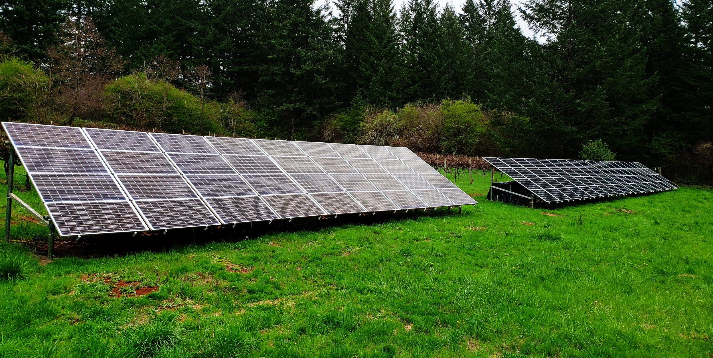 Solar Panels.jpg