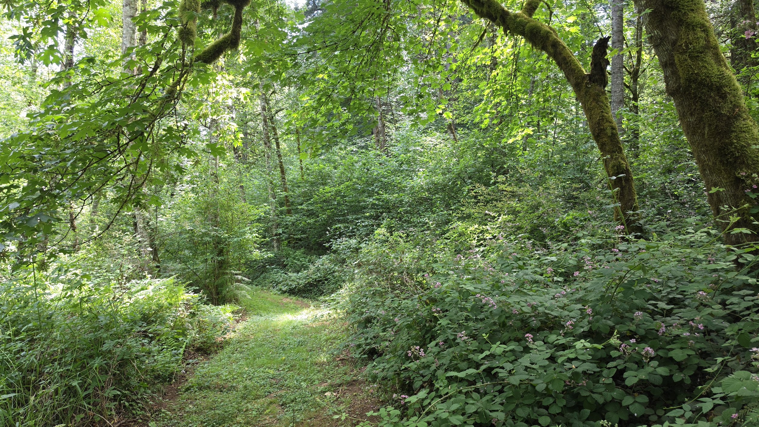 20260624_150801.jpg