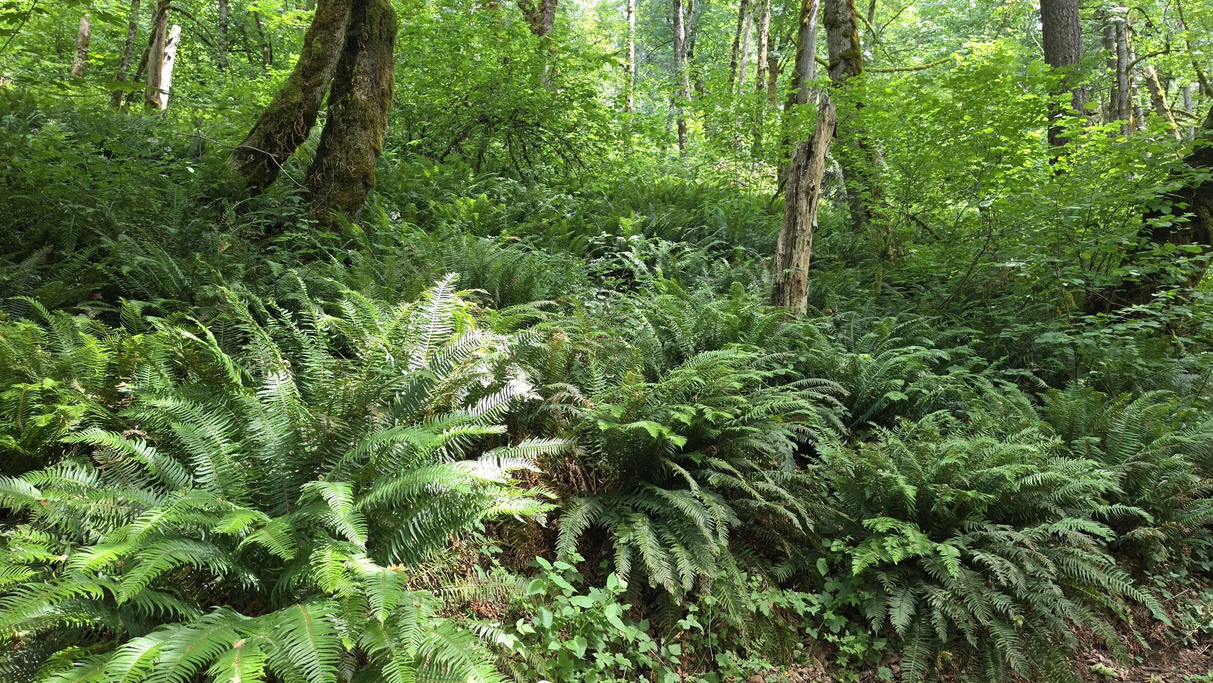 20260624_150907.jpg