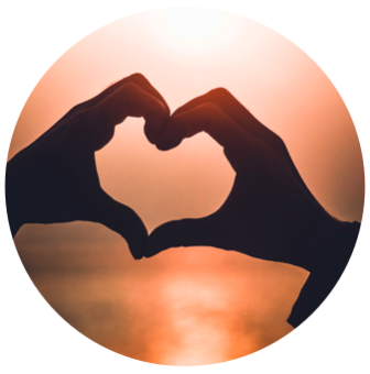 Screen Shot 2019-08-12 at 12.06.11 PM.png