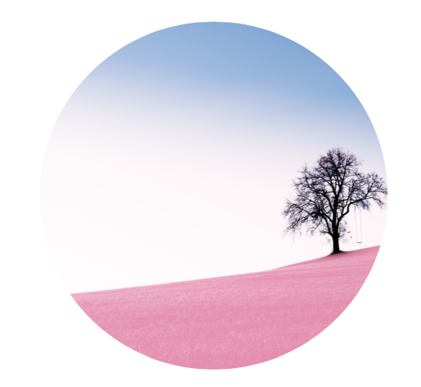 Resilience = Being Adaptable