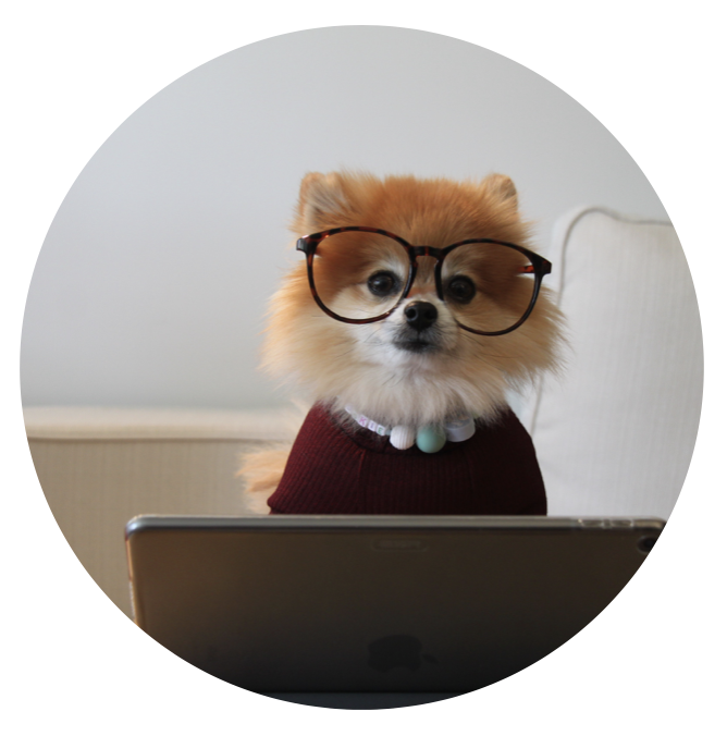 Despite Exhaustion, the Upside of Zoom