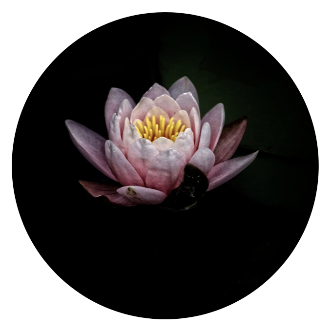 WE Earth Radio Conversations: Michael Stone Talks with Kim Barthel