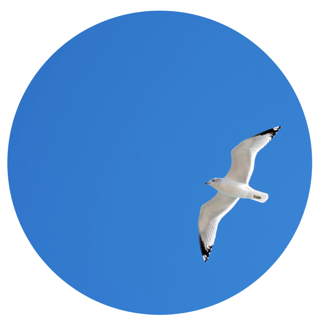 Mastery - To What End?