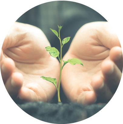 Helping is Healing - a Reminder to Ourselves 