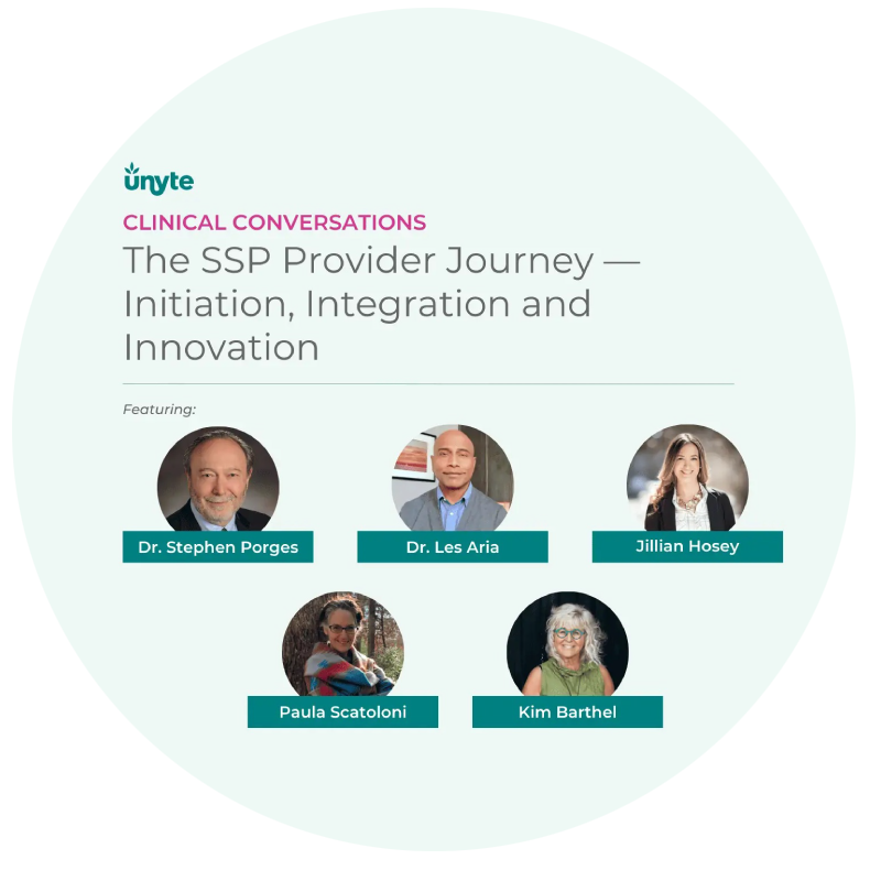 The SSP Provider Journey