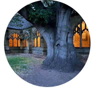 Oxford 2023, Master Series on Trauma