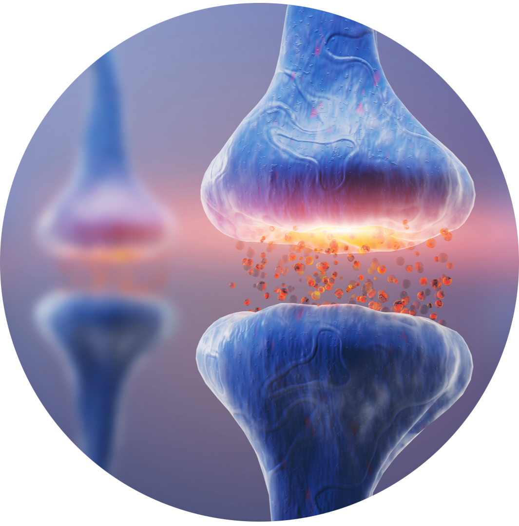 ON-DEMAND SERIES with LIVE Q&amp;A: Neurobiology Matters - APPROVED FOR AOTA CEUs