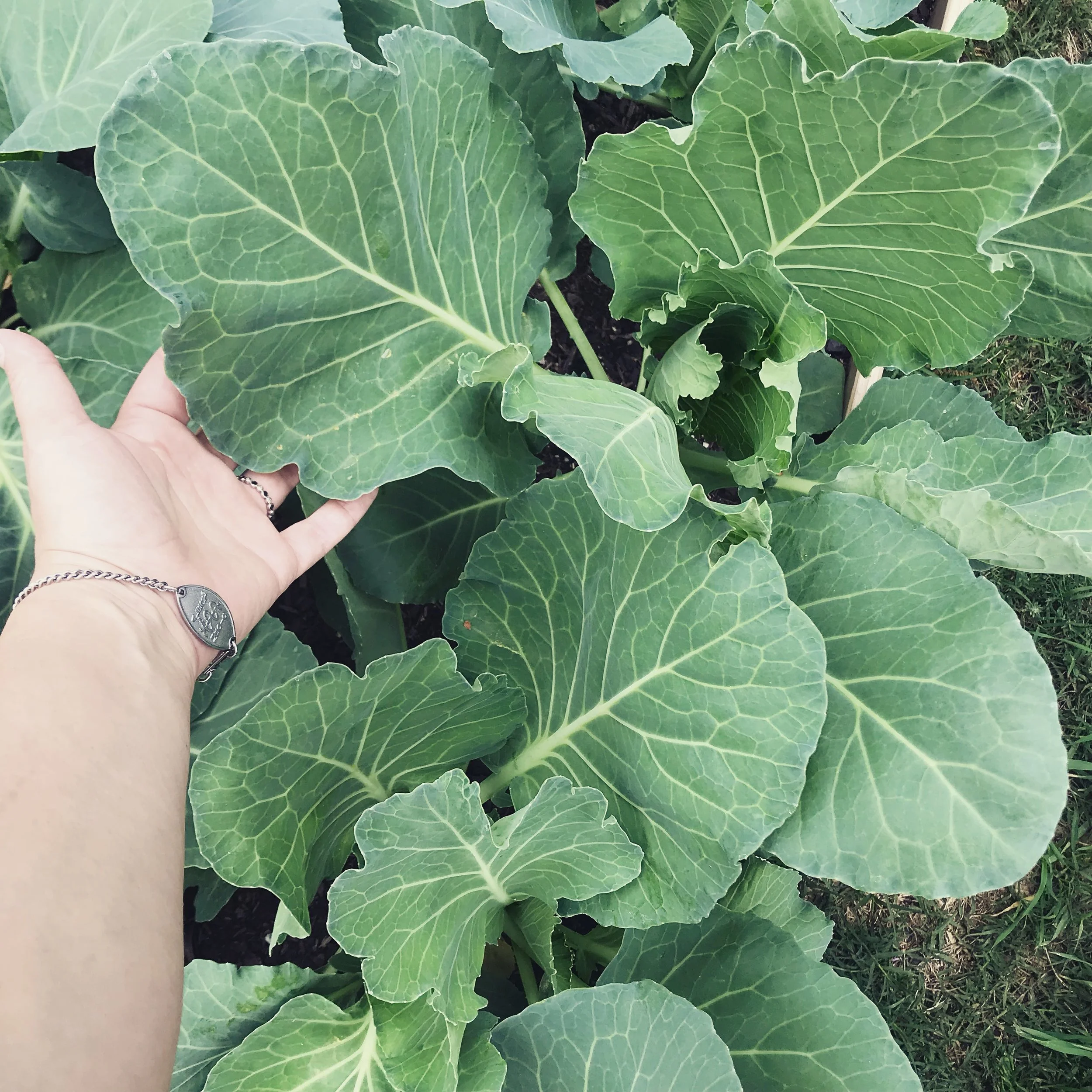 WHILE WE WAIT, WE SERVE.