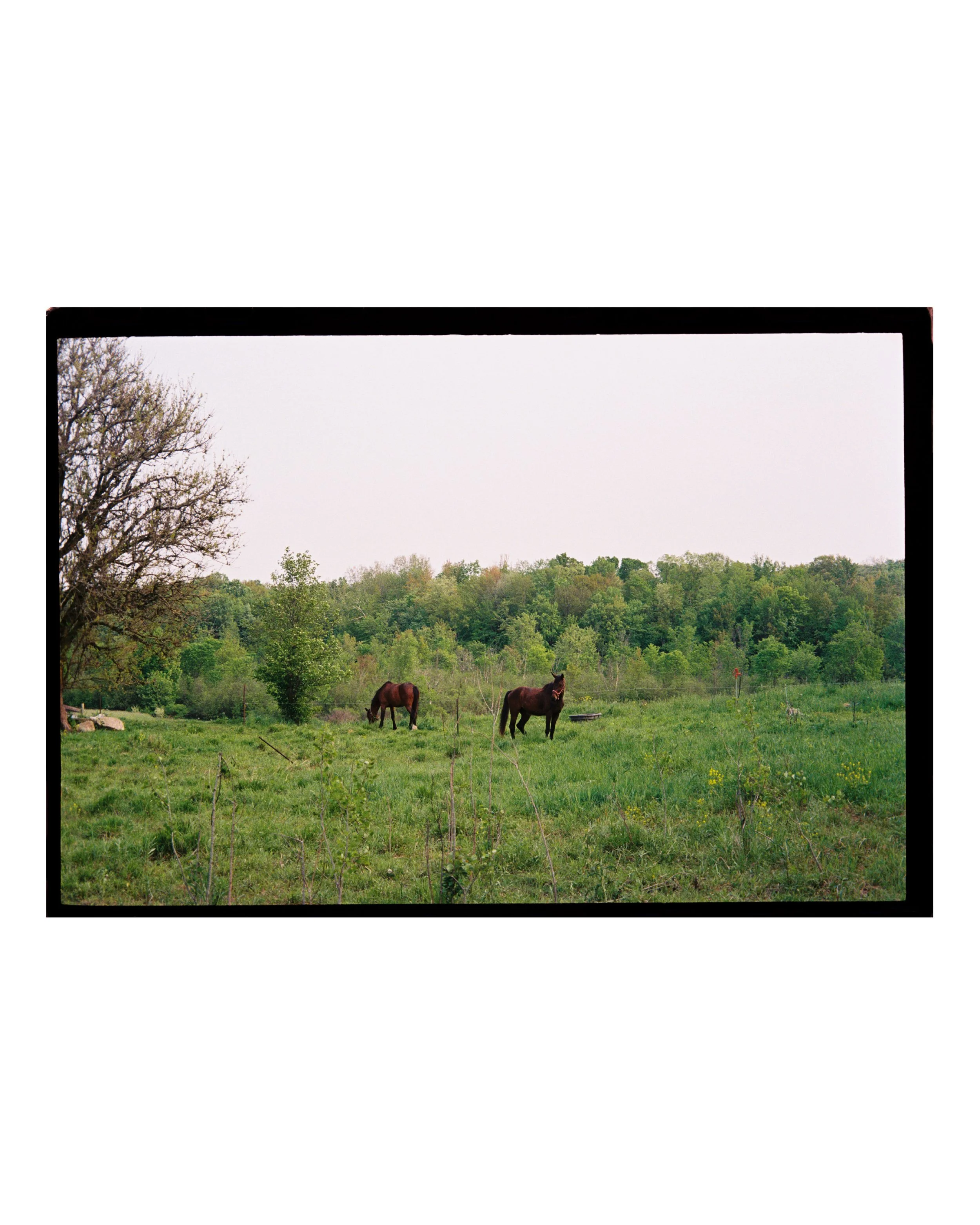 Century Ride Edits8.jpg
