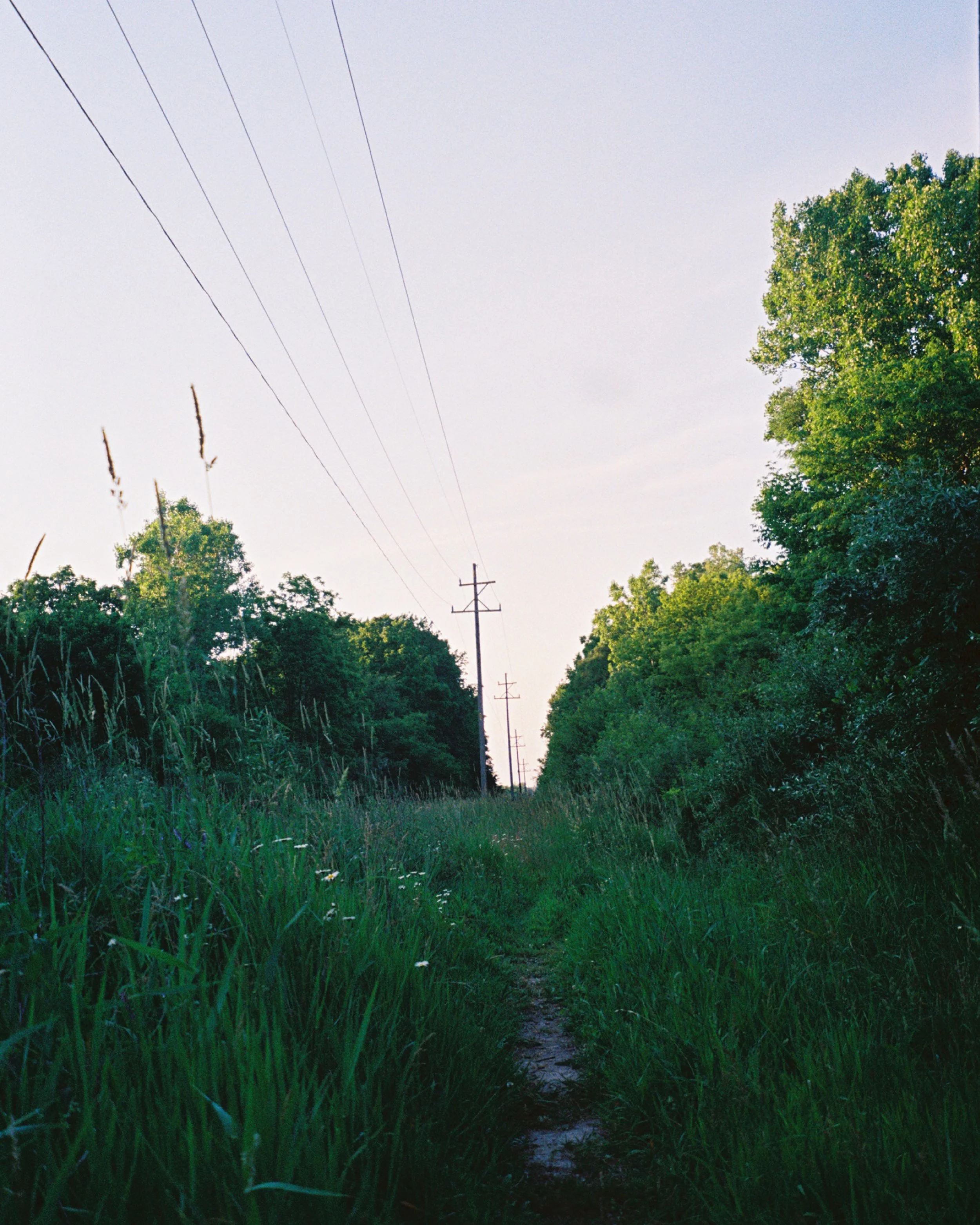 Untitled-13.jpg