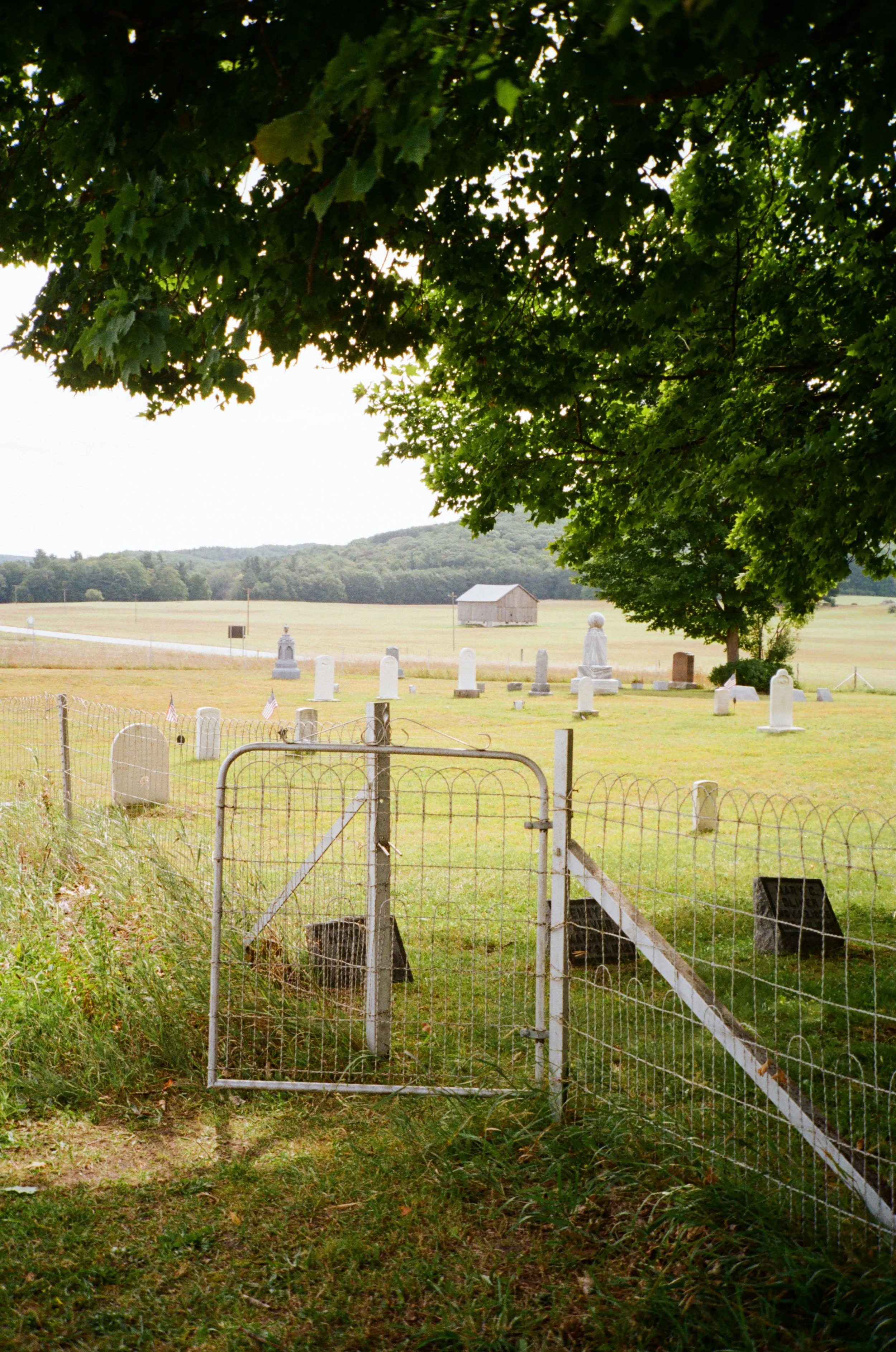 September Film Photos-Day 10 1.jpg