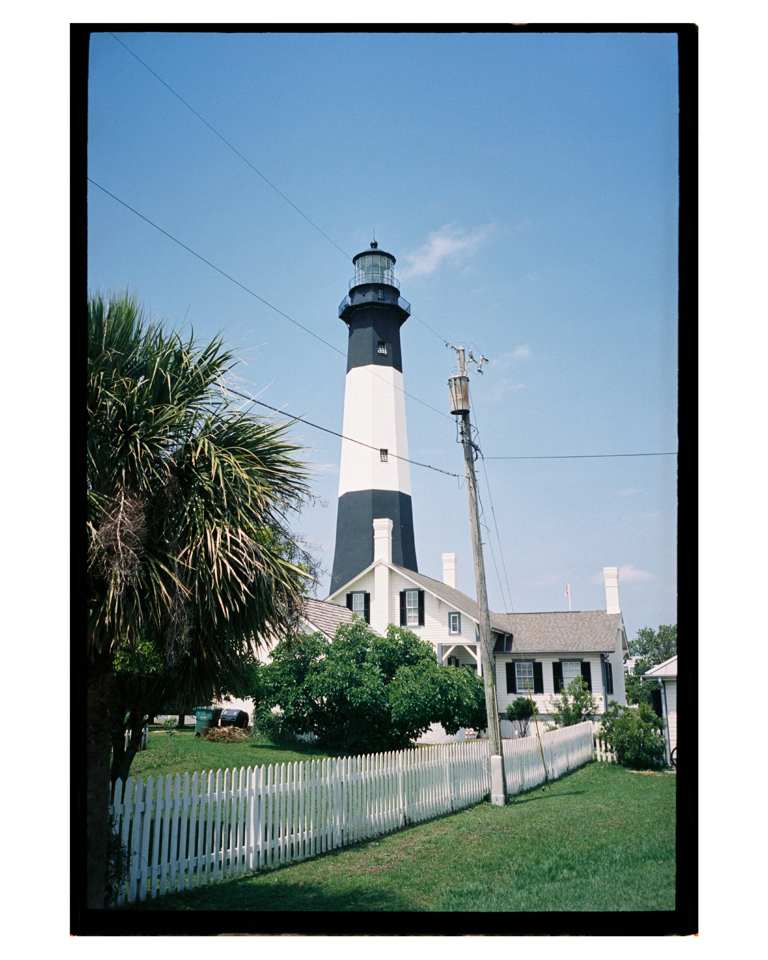 savannah collage also .jpg
