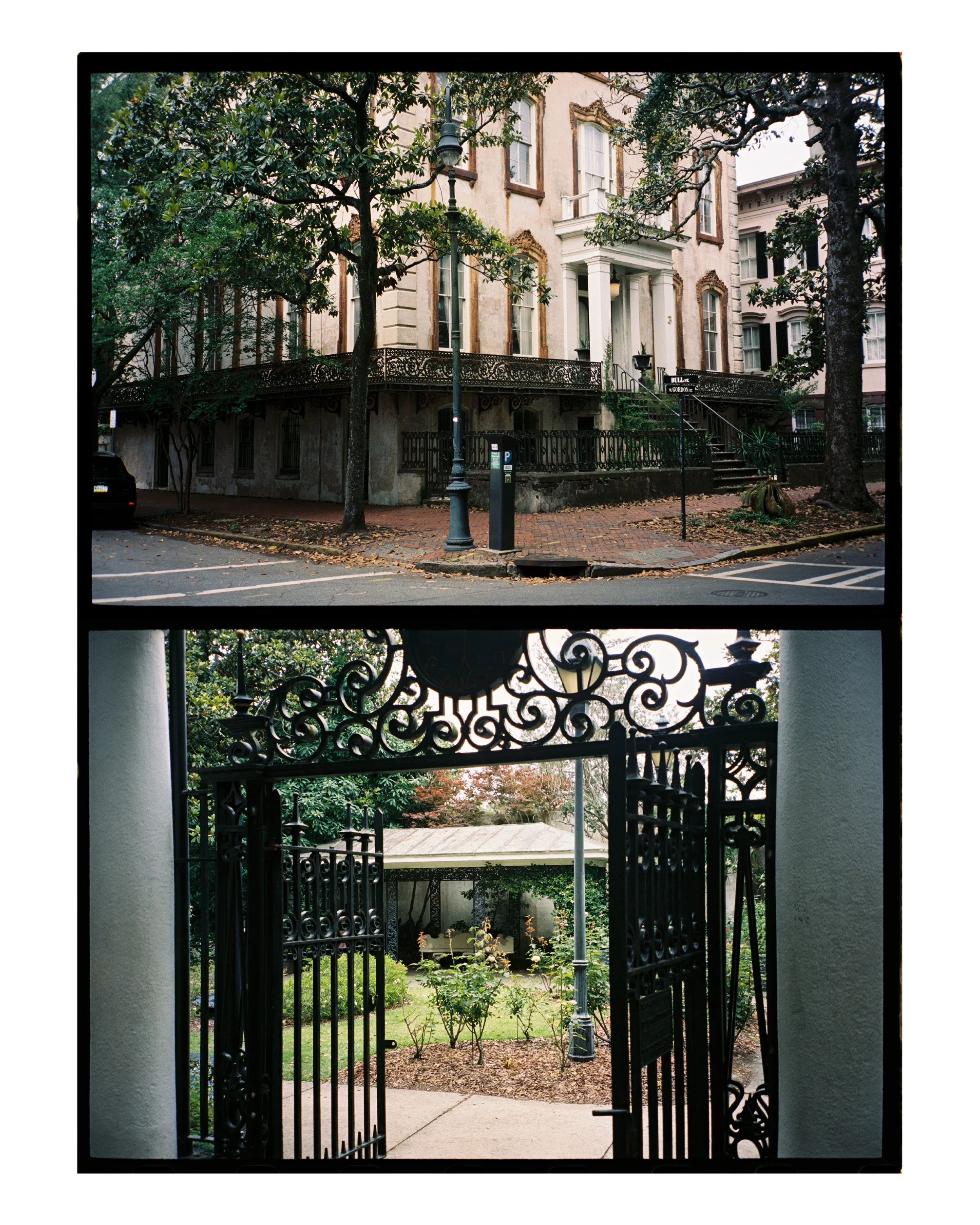 savannah collage .jpg
