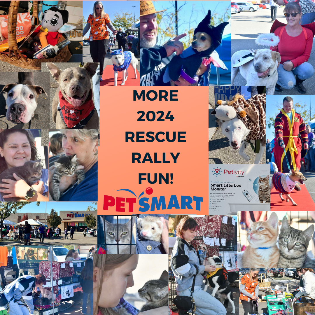 Upcoming Events — Lake Lowell Animal Rescue