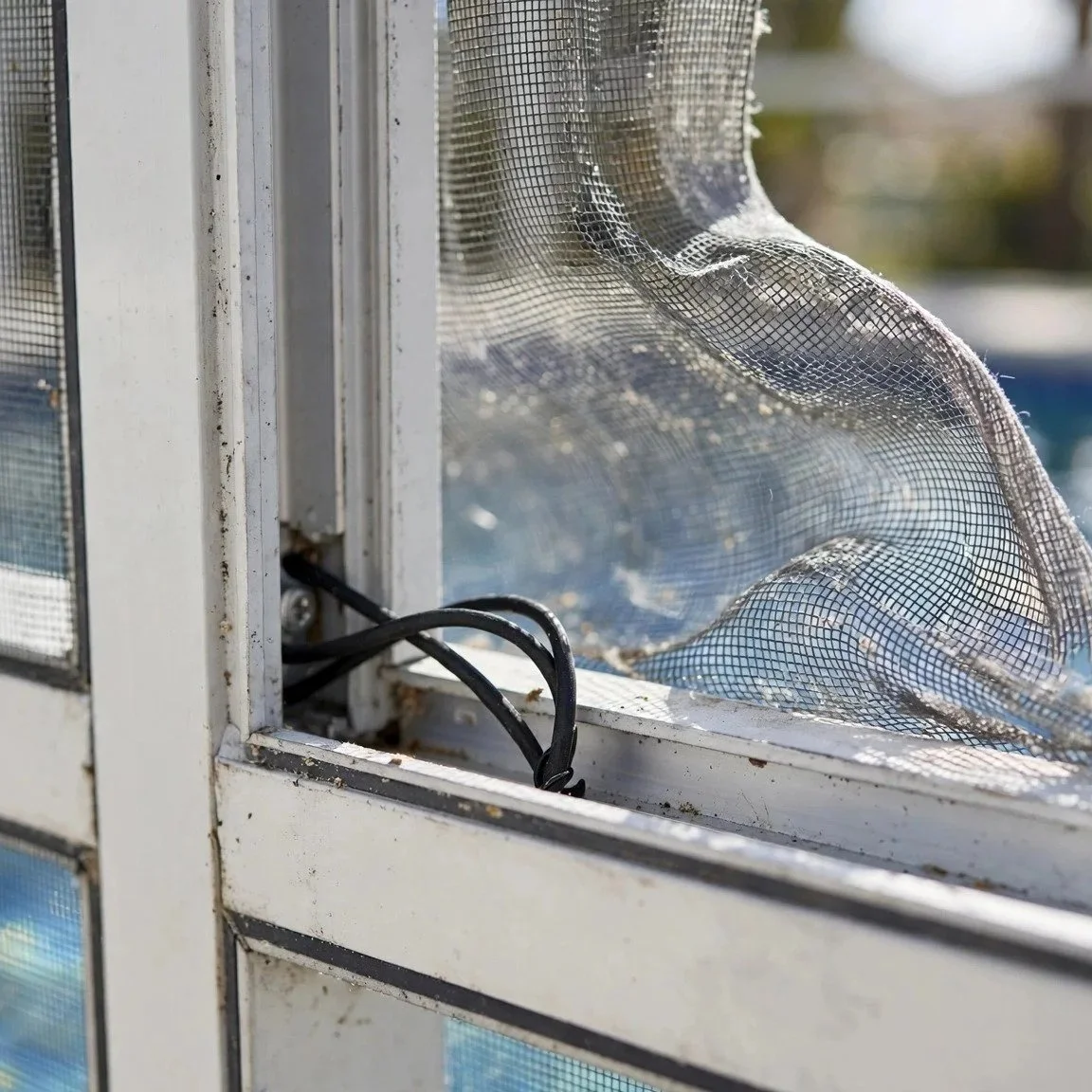 Pool Cage Screen Panels Popping Out? The Real Fix