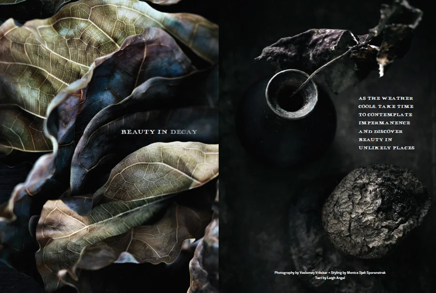 Decay_1.jpg